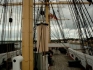 Loevfald 2002 131