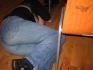Loevfald 2004 8