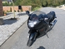 Blackbird