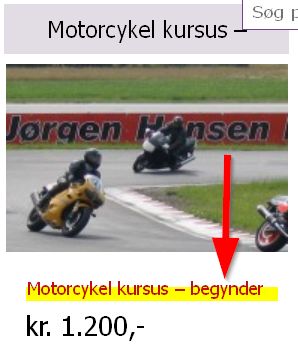 Bilag: